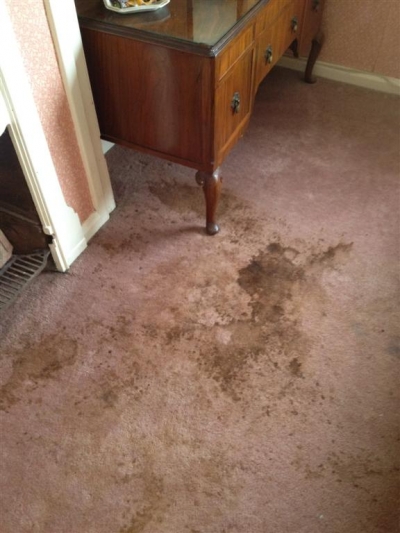 Carpet cleaning Hertfordshire